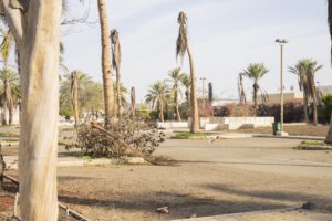 حديقة جامع أم بندر في حي اللؤلؤ بجدة - تطبيق عقار
