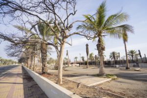 حديقة جامع أم بندر في حي اللؤلؤ بجدة - تطبيق عقار
