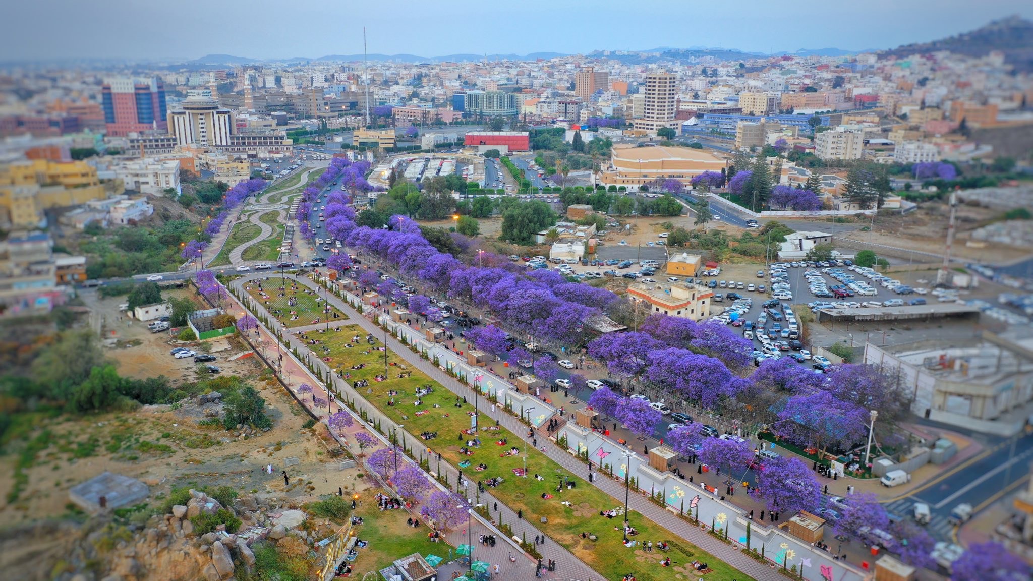 شارع الفن بمدينة أبها - تطبيق عقار