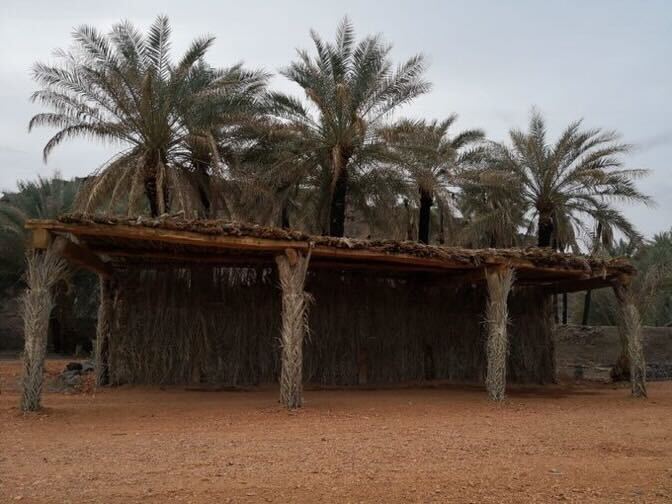 بيوت العريش تراث معماري من النخيل والخوص - تطبيق عقار